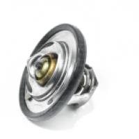 ترموستات رنو سفران اصلی